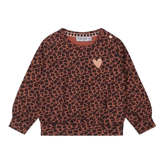 Dirkje Leopard Print Sweater