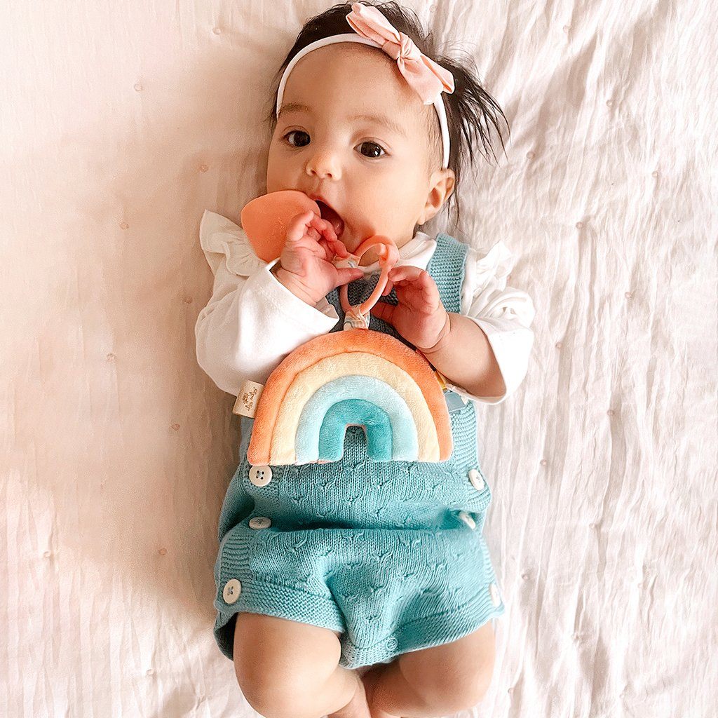 Itzy Ritzy Pal with Teether